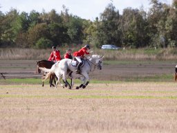 IMG_8528_web